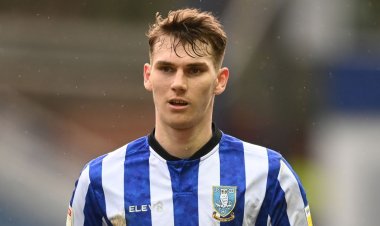 Sheffield Wednesday fans unanimous on where the blame lies for Liam Shaw exit