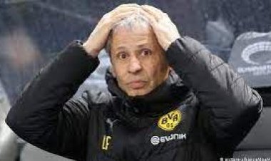 SWISS BOSS IN CELTIC LINK