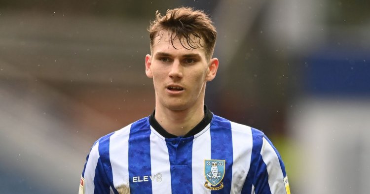 Sheffield Wednesday fans unanimous on where the blame lies for Liam Shaw exit