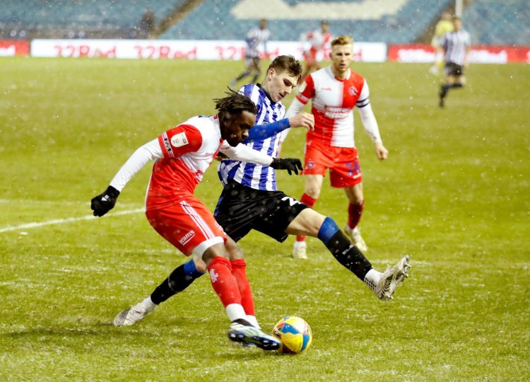 Carlton Palmer hints at future Celtic action over Sheffield Wednesday man