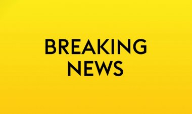 Scottish League Cup: Celtic to host Hearts in round two, Rangers face Dunfermline