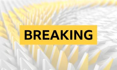 Rangers draw Lyon and Celtic Leverkusen