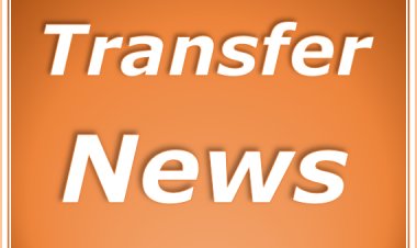 Celtic confirms Giakoumakis deal - Football Oranje