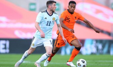 Profile: International Christie's career to date