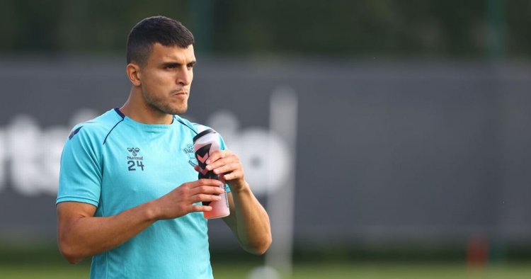 Hasenhuttl certain Elyounoussi will play 'a lot of games' for Saints this season