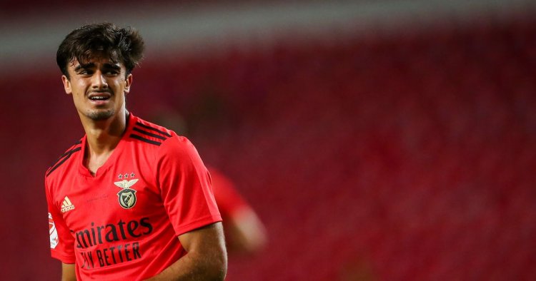 Celtic in 'very advanced' Filipe Jota transfer talks over option to buy loan