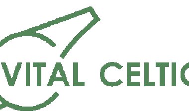 “That’s why he’s left his position” - John Hartson reveals theory on Dom McKay’s departure