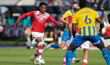 New Arrivals Have Certainly Given Us A Lift