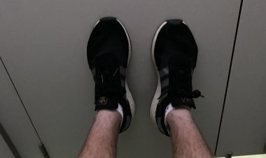 Celtic fan snuck into Benito Villamarin by hiding in toilet for two hours to see clash with Real Betis - Football Espana