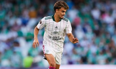 Virals: One Celtic fan pulls off incredible stunt for Europa League clash