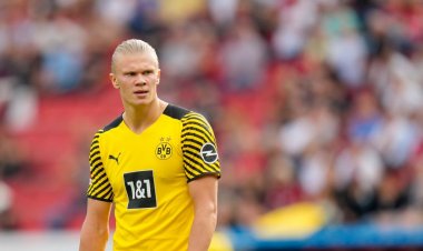 Report: Red-hot striker could replace Haaland at Dortmund, Celtic thought he was too expensive