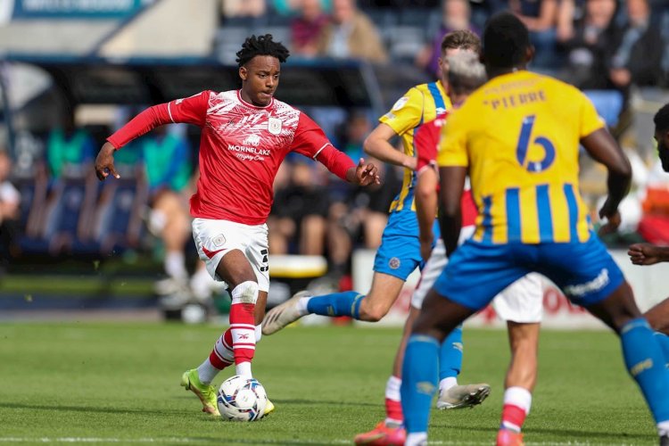 New Arrivals Have Certainly Given Us A Lift