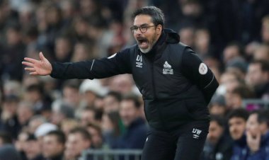 Celtic: Fans discuss David Wagner claim