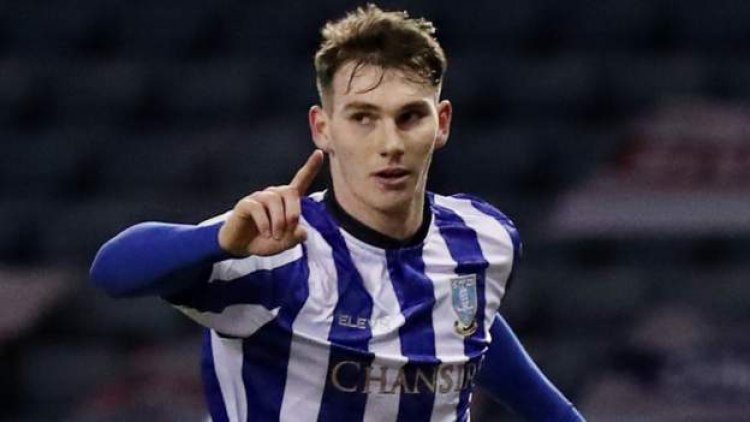 Celtic 'impossible to turn down' - Shaw