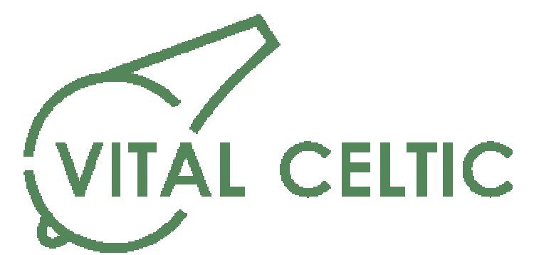 English media report “big money transfer” coming Celtic’s way