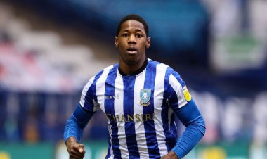 Celtic seal transfer of PNE target as McAvoy opts for tried and trusted