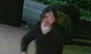Cops probing Peter Lawwell firebomb attack release image of man and vehicle