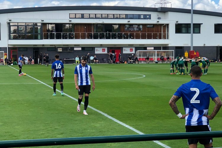 Sheffield Wednesday 1 Celtic 3: Owls fall to defeat but it's miles in the legs in the Welsh sunshine