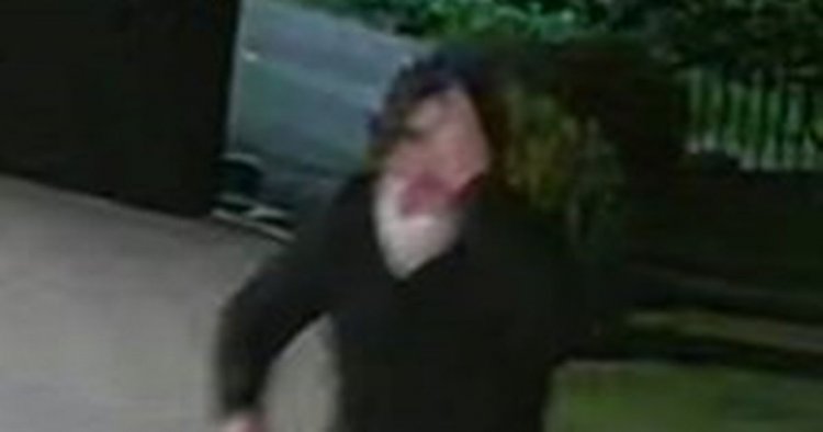 Cops probing ex Celtic chief firebomb attack release image of man and vehicle